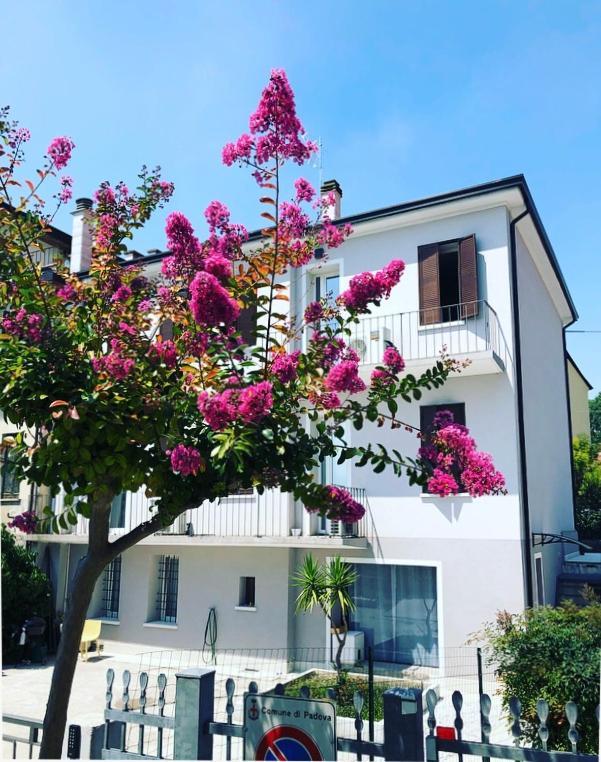 Civico21 Hotel Padova Exterior photo
